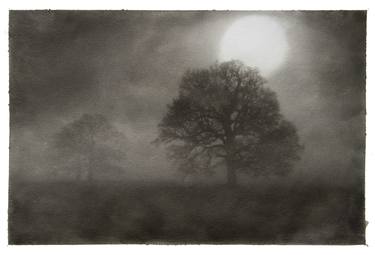 Dawn, Sissinghurst Castle - Limited Edition of 1 thumb