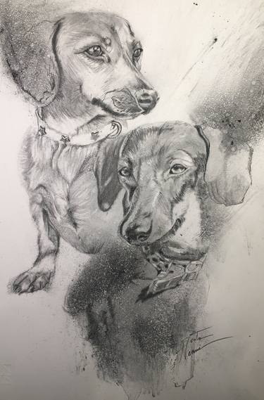 Print of Figurative Dogs Drawings by S A R I T A Nanni