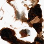 Collection Figure Studies