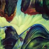 Collection Landscapes