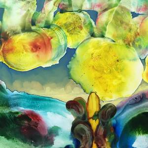 Collection Landscapes