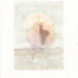 Collection Erotic Art