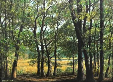 Original Landscape Paintings by Kathleen McDermott