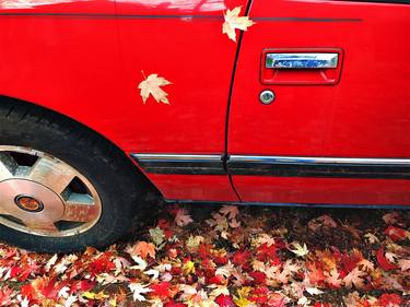 Original Automobile Photography by Julia Nathanson