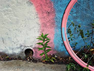 Original Fine Art Bicycle Photography by Julia Nathanson
