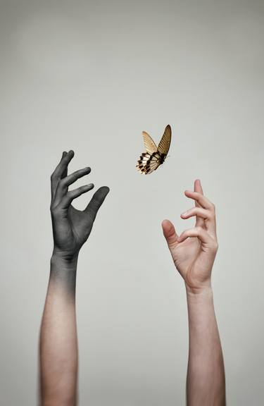 Butterfly - Limited Edition 1 of 1 thumb