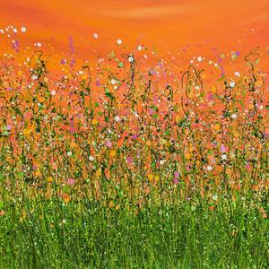 Collection New This Week 12-01-2025