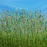 Natures Kaleidoscope - #2 by Lucy Moore