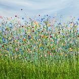 Beauty In Chaos by Lucy Moore
