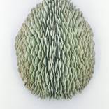 Collection Flora & Fauna