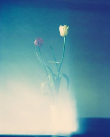 Original Floral Photography by Jörgen Axelvall