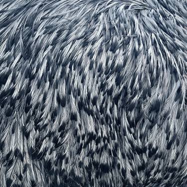 Original Abstract Animal Photography by Jennifer Bell