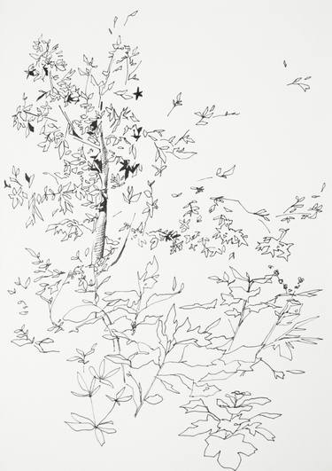 Tree Drawing (BWDRW-0001) thumb