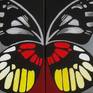 Collection Butterfly Diptych Paintings