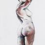 Collection Female Nude Drawings