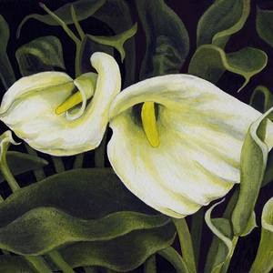 Collection Floral Paintings from Photographs