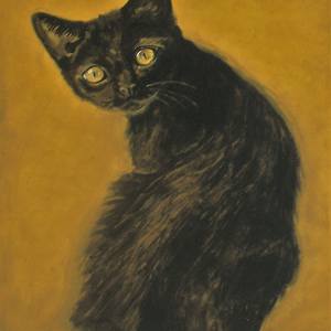 Collection Black Cat Paintings