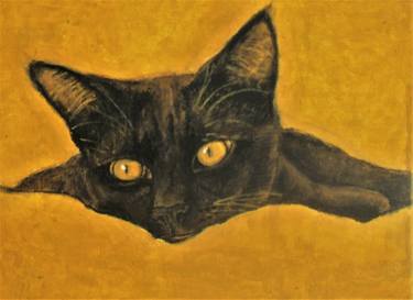 Original Cats Paintings by Holly Winters