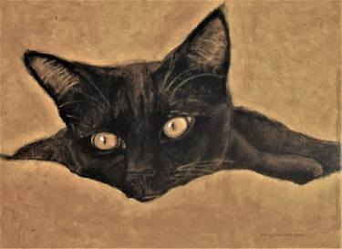 Sepia Black Cat 6 thumb