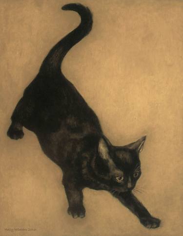 Print of Fine Art Cats Photography by Holly Winters