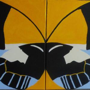 Collection Delias niepelti ribbe Butterfly Diptych