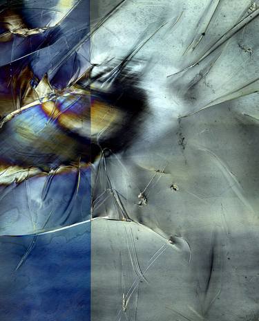 Birdie - Limited Edition 1 of 3 Abstract Photography on Canvas thumb