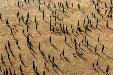 Print of Aerial Photography by Art Zamur