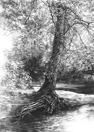 Print of Realism Landscape Drawings by Katarzyna Kmiecik