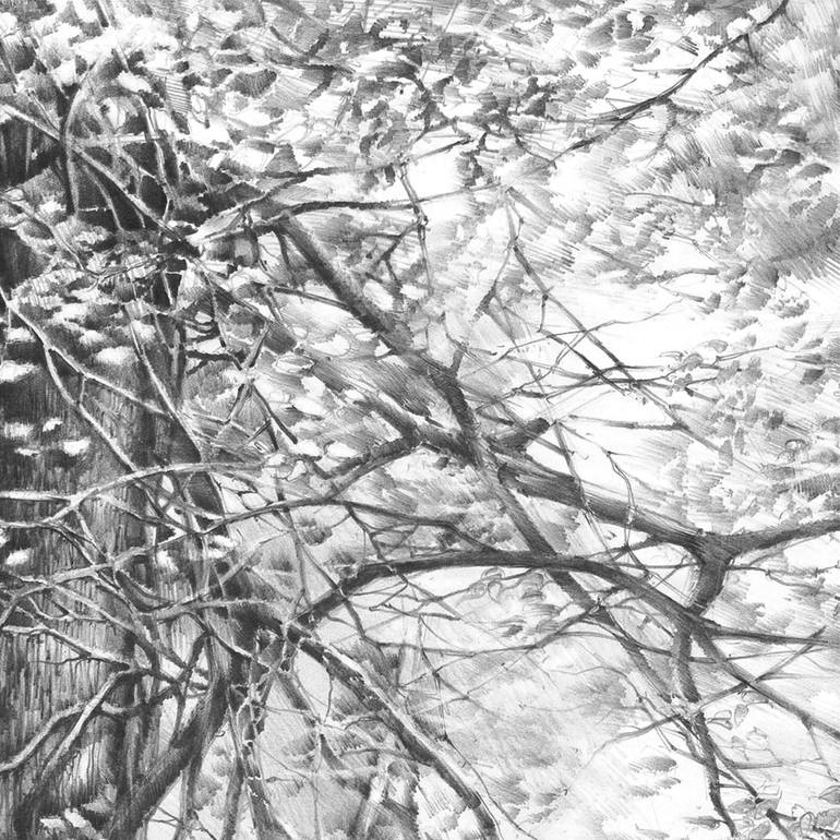 Fairytale Tree Drawing by Katarzyna Kmiecik | Saatchi Art