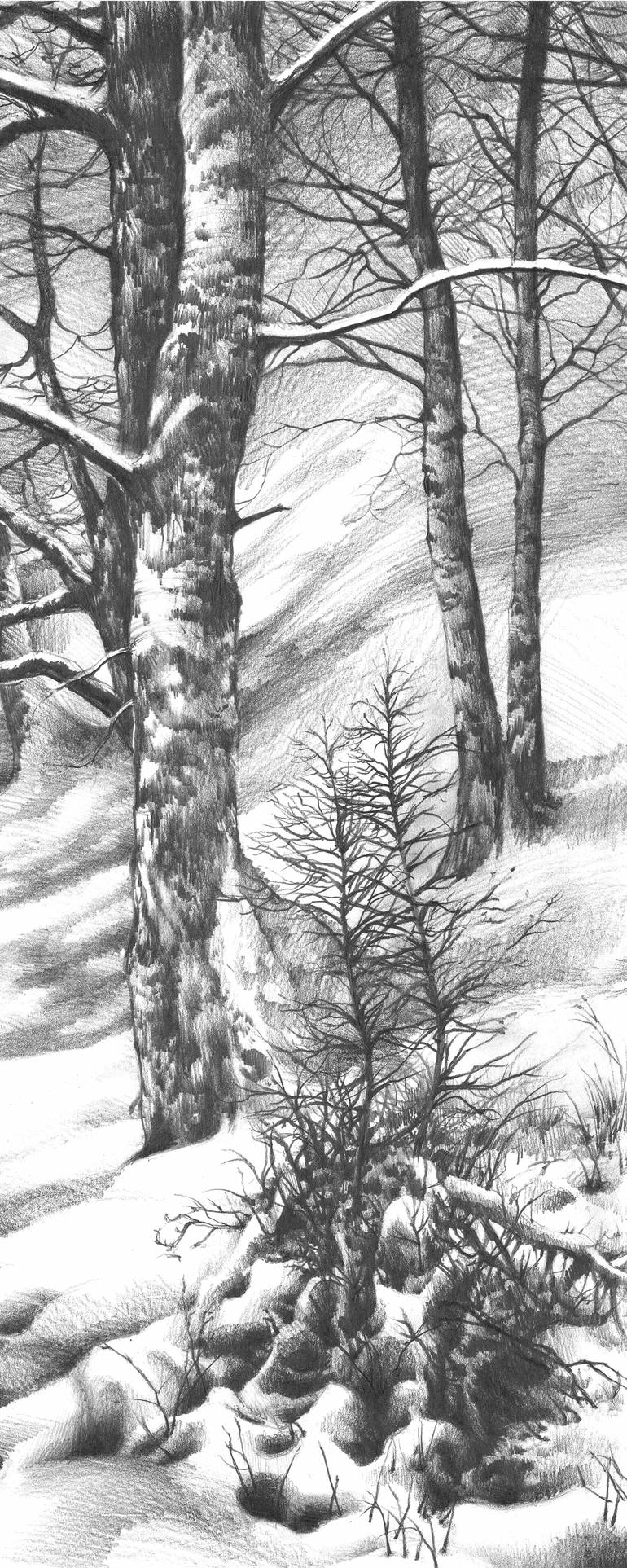 Original Illustration Landscape Drawing by Katarzyna Kmiecik