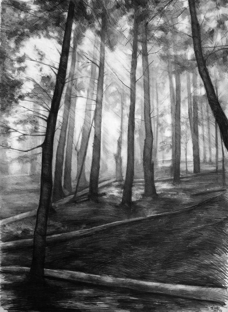dark landscape drawings pencil