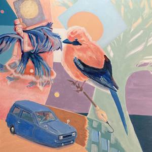 Collection Corvids