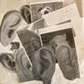 Follower-submitted ear photos used in drawing the painting.