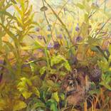 Hidden by Rhea O'Neill