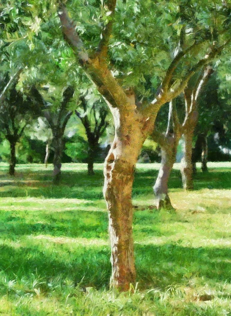 Print of Realism Tree Painting by Robin Casey
