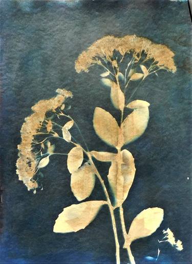 Original Figurative Botanic Printmaking by Cornelia Tersanszki