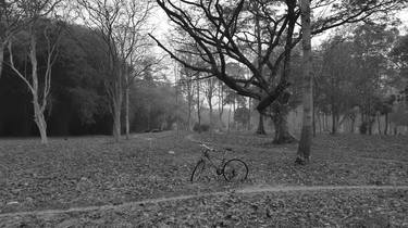 Original Documentary Bicycle Photography by waiyawat saitum