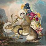 Monkey and the Hare by Alexandra Gallagher