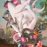 Entropy by Alexandra Gallagher