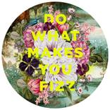 Do What Makes You Fizz by Alexandra Gallagher