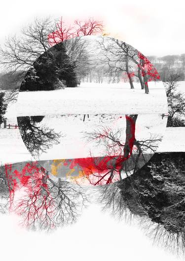 Somber Winter - Limited Edition 1 of 5 on Aluminium thumb