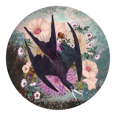 Original Surrealism Animal Collage by Alexandra Gallagher