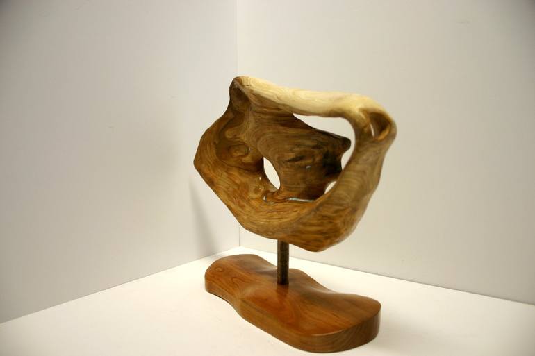 Original Abstract Nature Sculpture by Kevin Doberstein