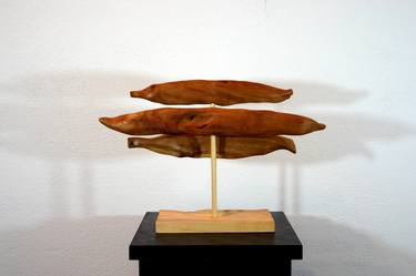 Carrying Voice. Abstract wood sculpture. thumb