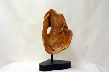 Print of Abstract Sculpture by Kevin Doberstein