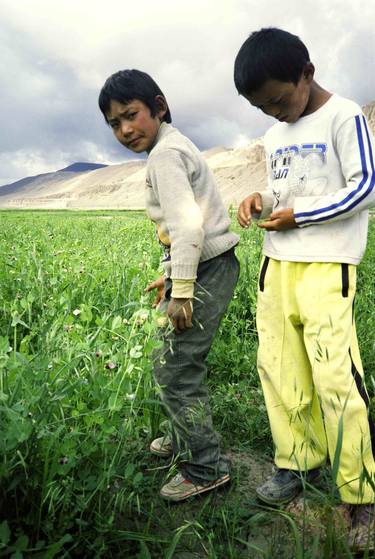 Original Documentary World Culture Photography by Min Wang