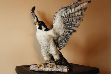 Peregrine. Life sized falcon sculpture. thumb