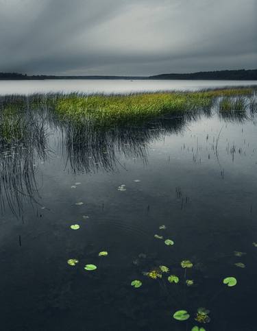 Print of Nature Photography by Zoran Dordevic