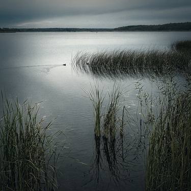 Print of Nature Photography by Zoran Dordevic