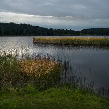 Print of Nature Photography by Zoran Dordevic